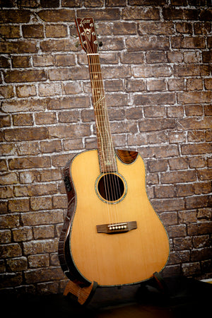 Z840 - Ziricote Acoustic - Elite Series - Open Box / Demo / Blem