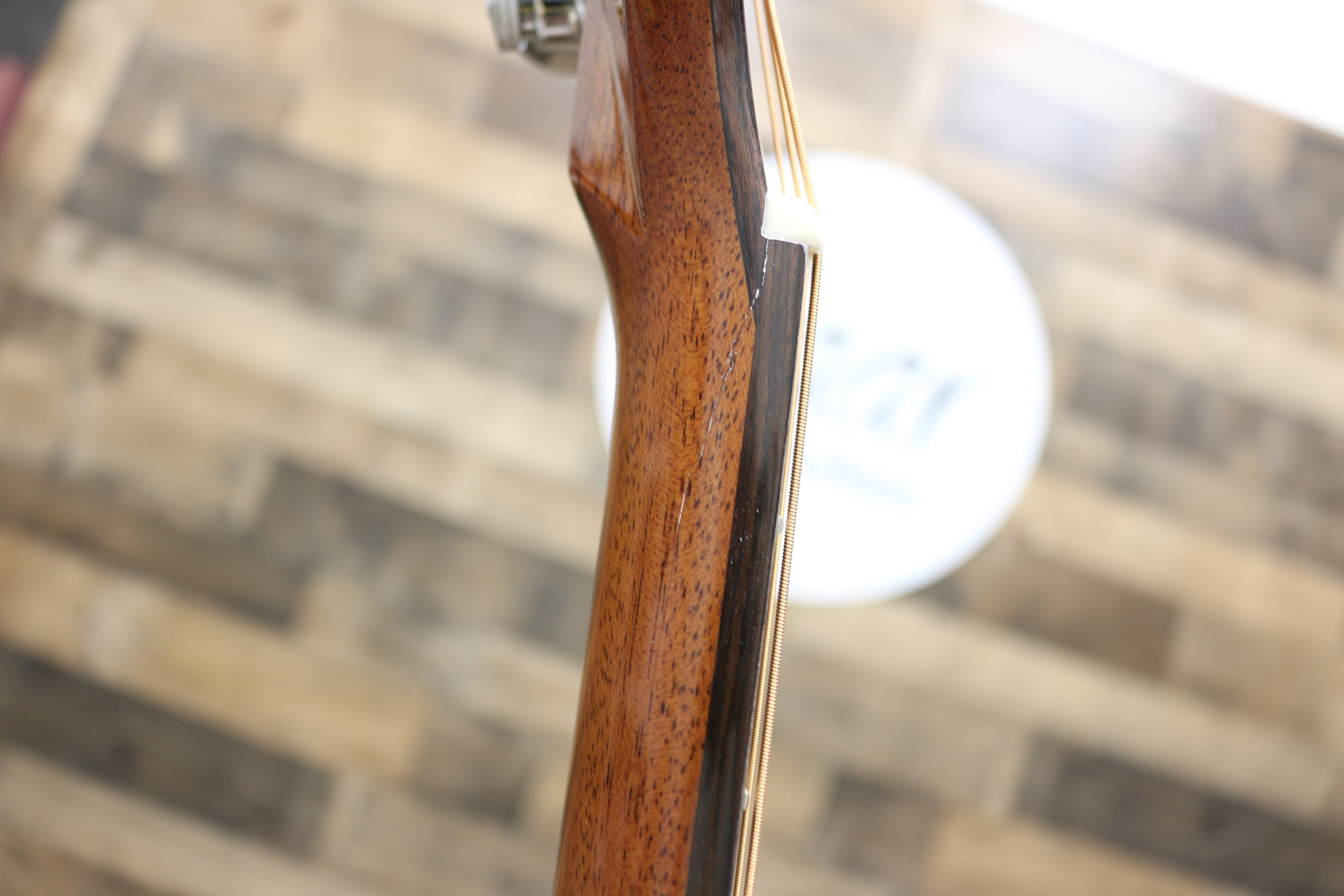 Zaar with Scars - Z690 (066)