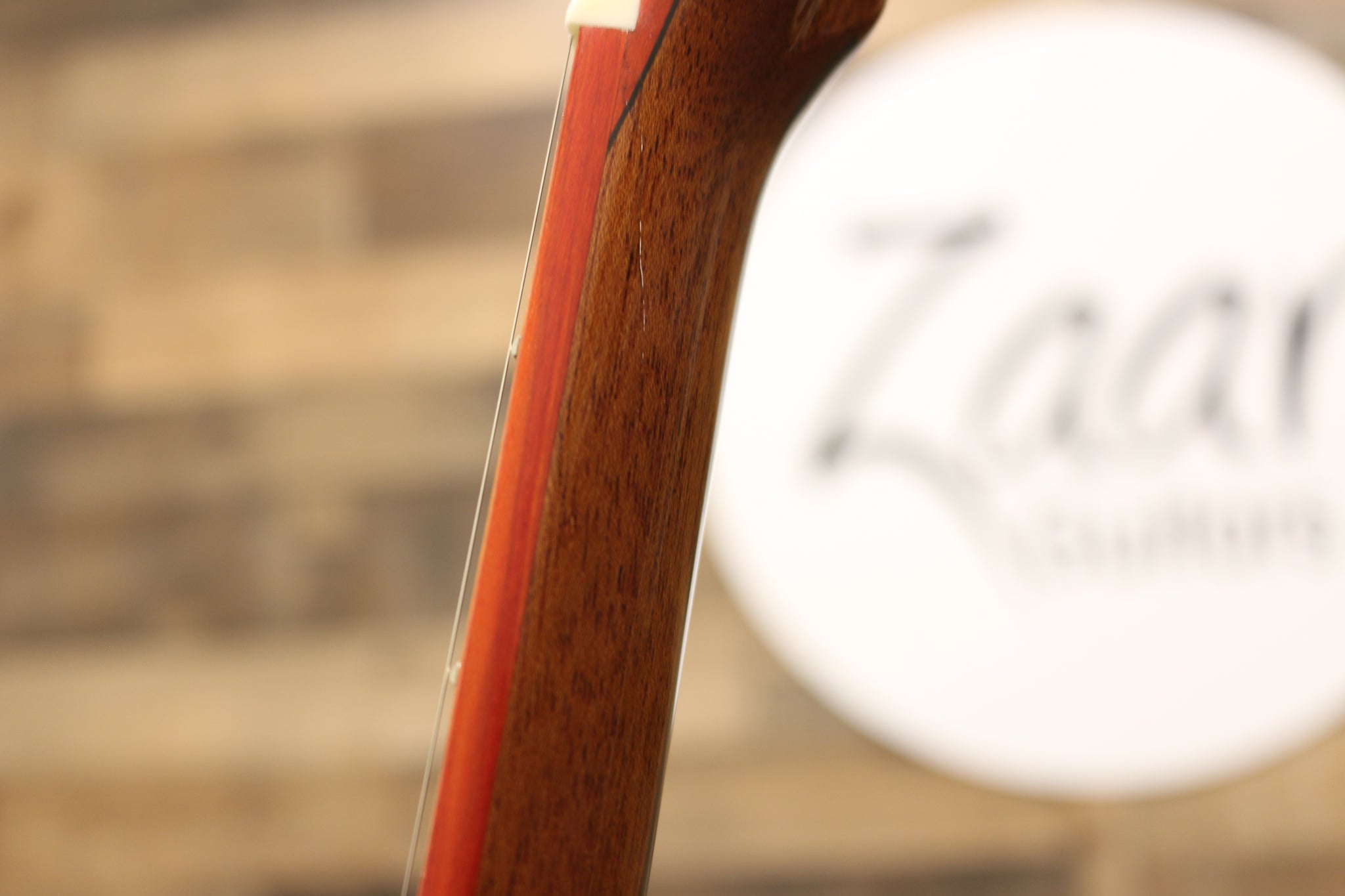 Zaar with Scars - Z420E (245)