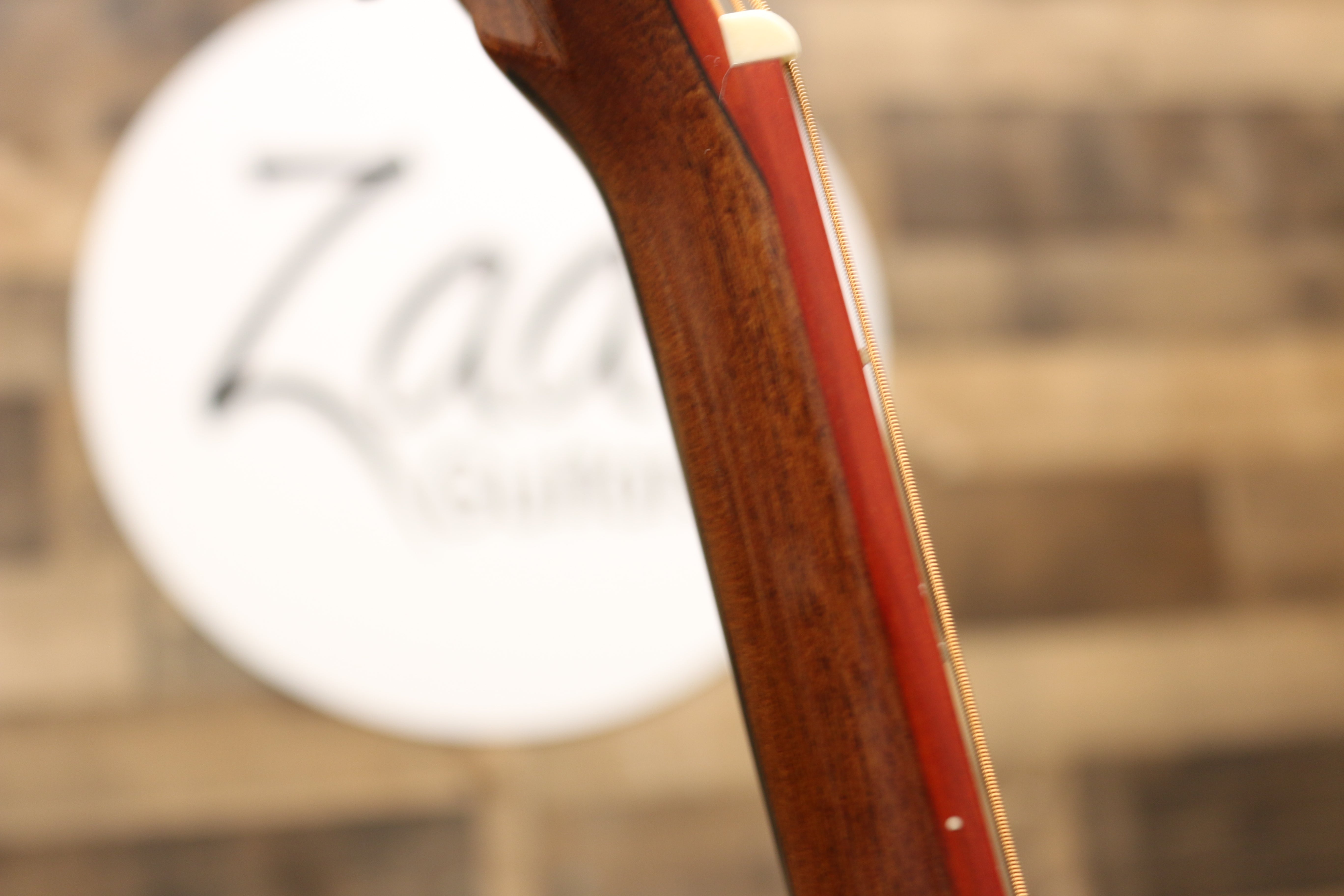 Zaar with Scars - Z420E (245)