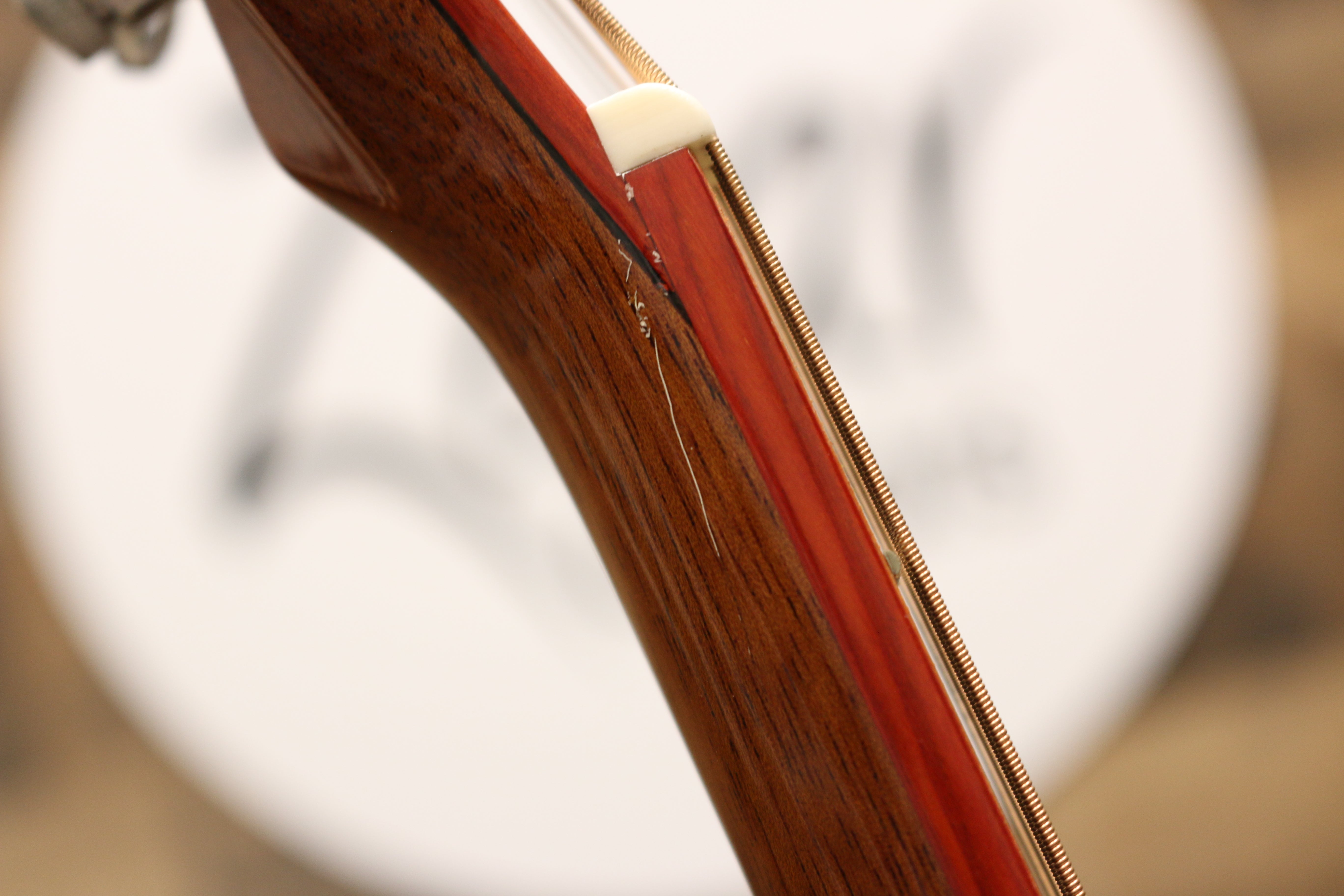 Zaar with Scars - Z420E (#243)