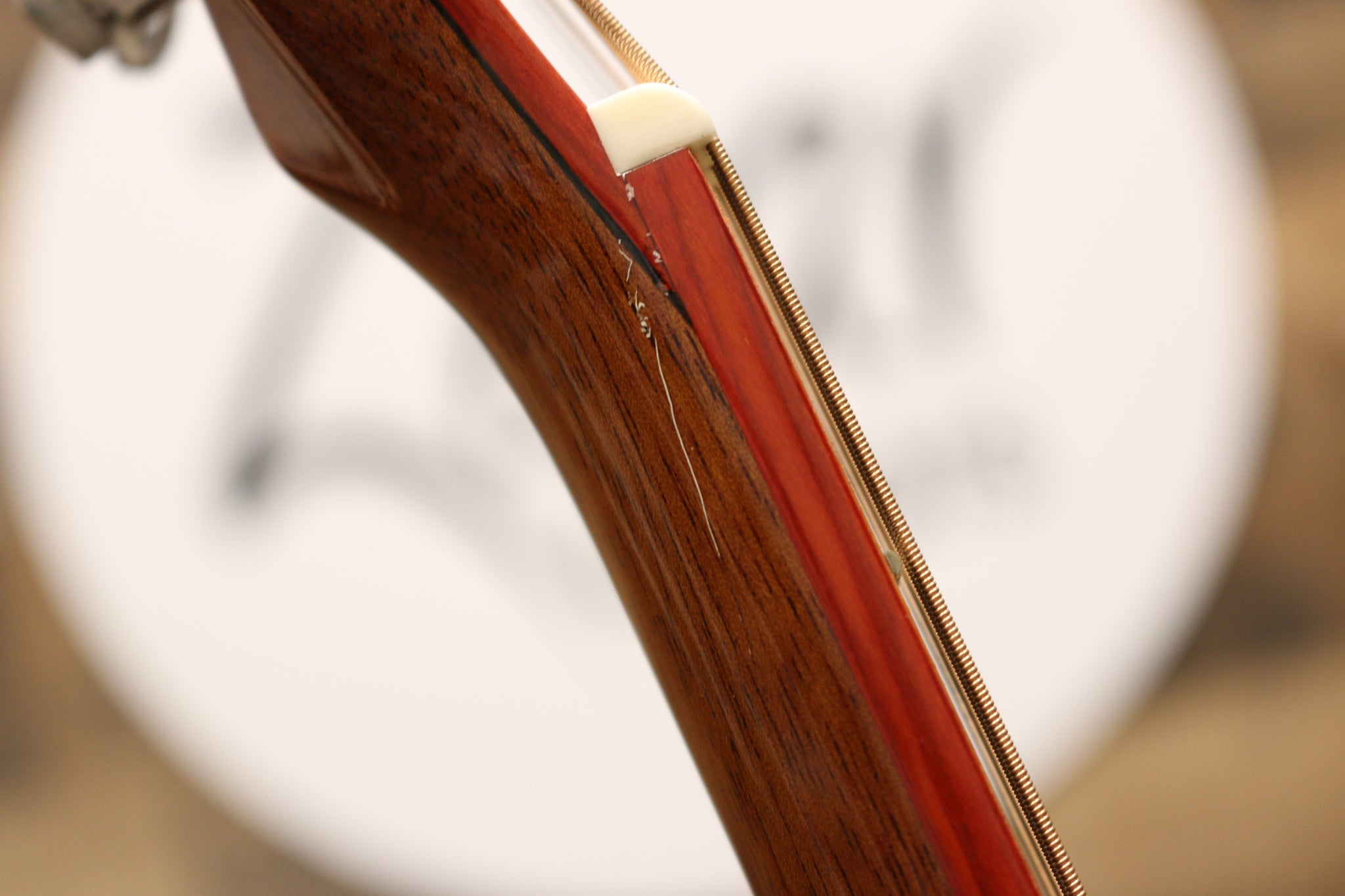 Zaar with Scars - Z420E (#243)