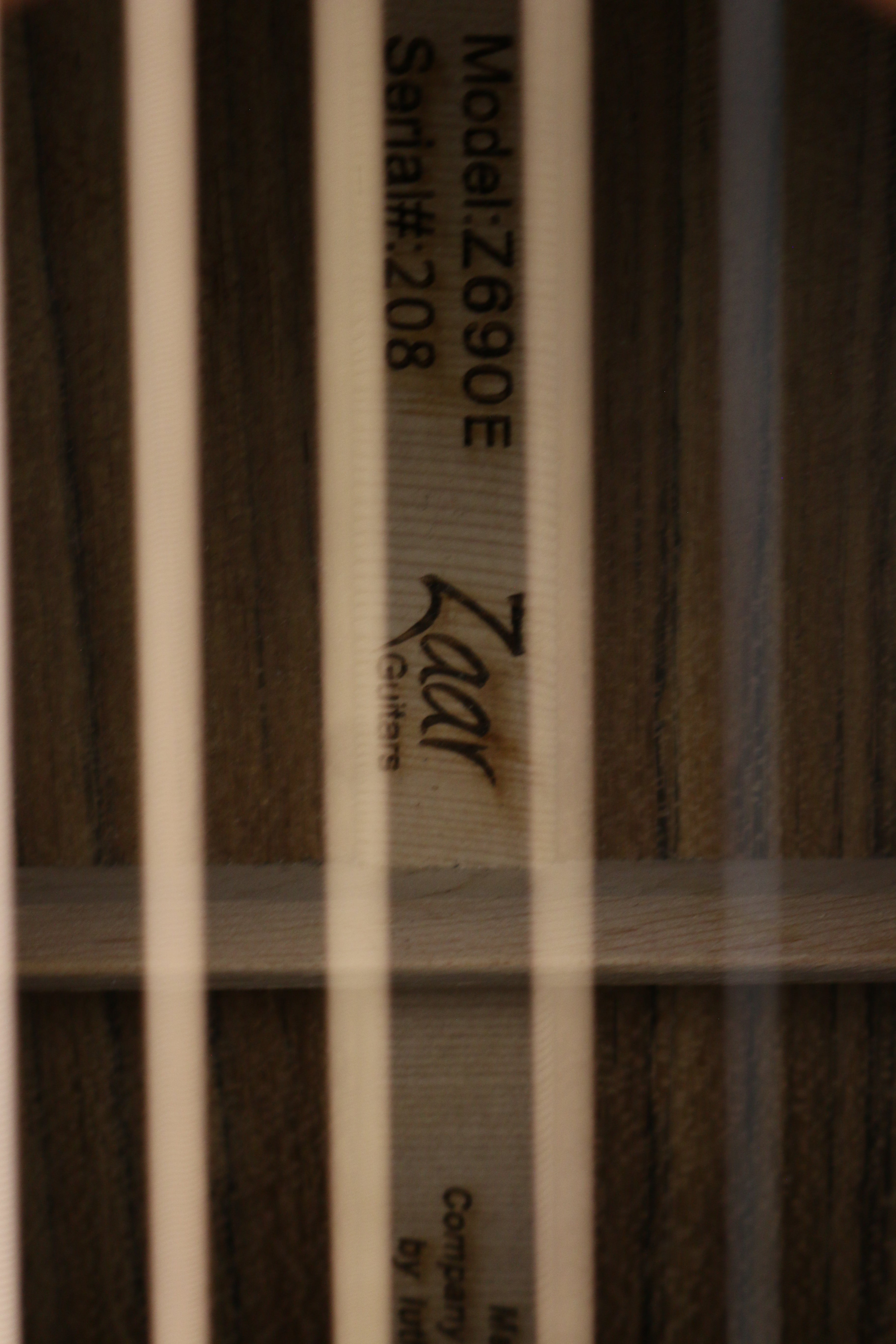 Zaar with Scars - Z690E (#208)