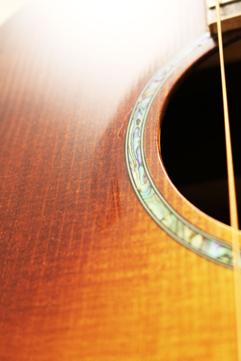 Zaar with Scars - Z380E (#047)