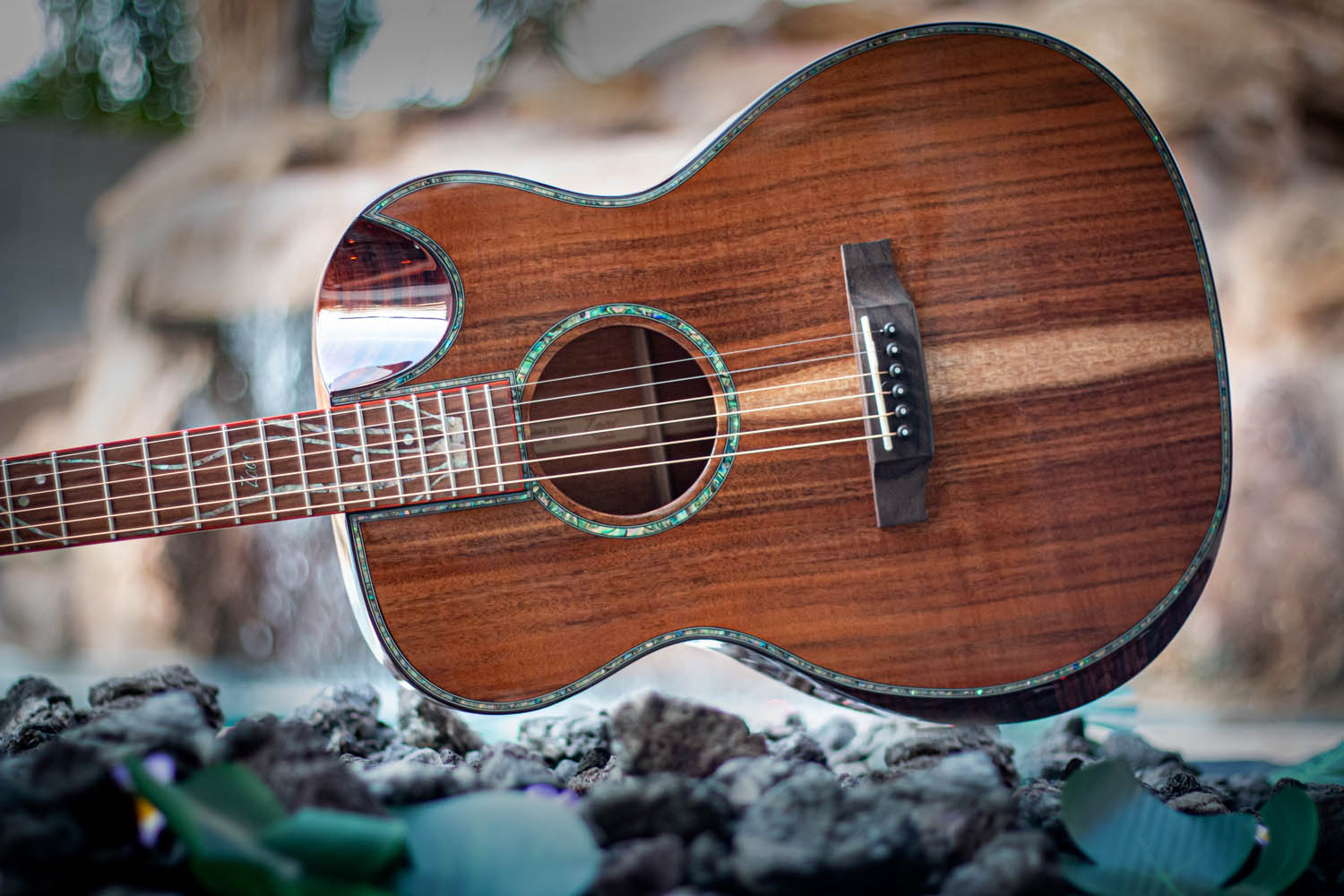 Z690 - Koa Acoustic